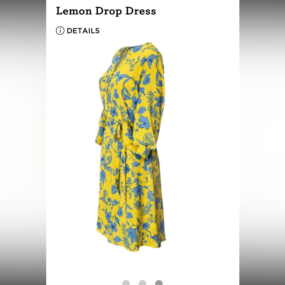 Cabi Lemon Drop dress with belt size Large